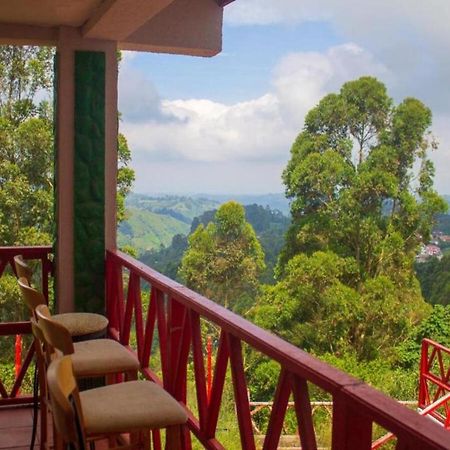 Hotel Natura Cocora Salento Zewnętrze zdjęcie