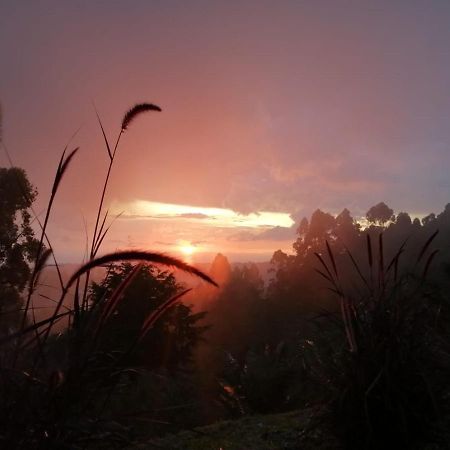 Hotel Natura Cocora Salento Zewnętrze zdjęcie