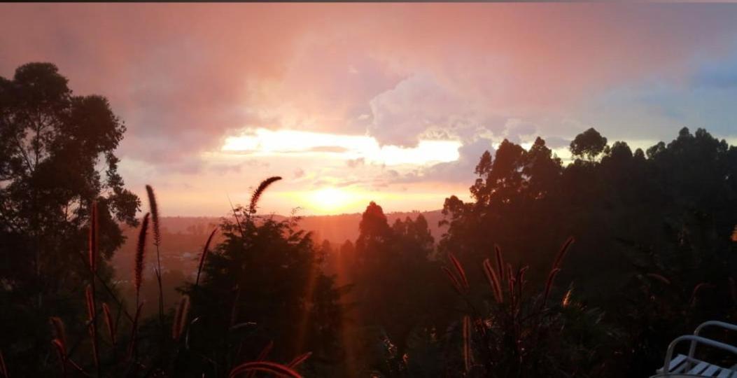 Hotel Natura Cocora Salento Zewnętrze zdjęcie